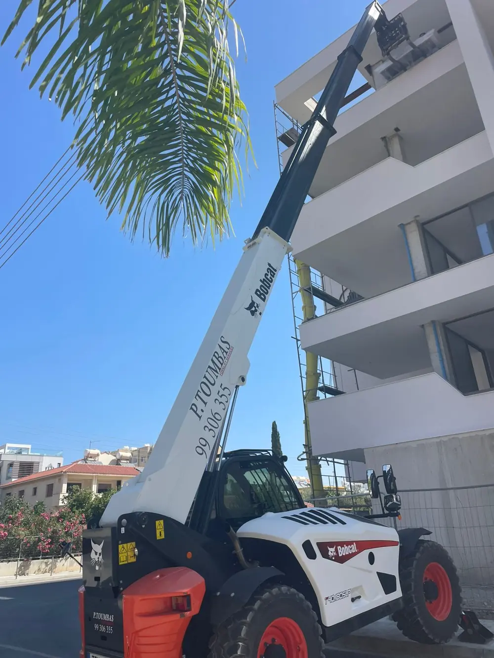 Telescopic forklift working beside a palm tree in Limassol